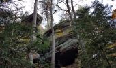 Randonnée Marche Ottrott - Ottrott - châteaux d'Ottrott - Mont St Odile par le sentier des Merveilles - Photo 4