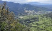 Tour Wandern Roche-Saint-Secret-Béconne - Roche St Secret Le Mont Rachat 13Km - Photo 4