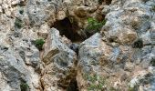 Tour Wandern Saint-Agnan-en-Vercors - Les Rancs de Charles - Vercors - La Coche - Photo 16