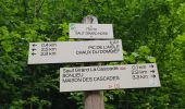 Randonnée Marche Le Frasnois - Cascades du Hérisson et les 4 lacs  - Photo 3