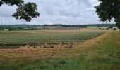 Trail Walking Rocamadour - les lavandes d'Alix - Photo 20