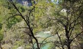 Excursión Senderismo La Palud-sur-Verdon - le sentier Blanc Martel (Gorges du Verdon ) - Photo 15