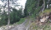 Trail Walking Embrun - lac de l hivernet via l aiguille, retour par pierre pointue - Photo 5