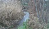 Tocht Te voet Karlstein am Main - Kulturweg Karlstein - Photo 9