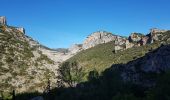 Excursión Senderismo Saint-Guilhem-le-Désert - Saint Guilhem L'Ermitage ND de la Grâce - Photo 20