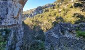 Tour Wandern Joucas - Gorges de Véroncle au départ de Joucas - Photo 17