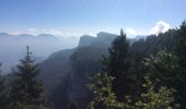 Randonnée Marche Autrans-Méaudre en Vercors - GR 9 Étape 24 Refuge de Gève - Autrans  - Photo 5