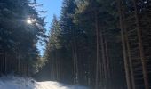 Excursión Esquí de fondo Saint-Front - 2022 01 randonnées en MEZENC : montée au Mont MEZENC et tour du Mont d’Alambre. - Photo 14