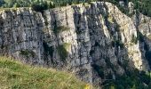 Tocht Stappen Métabief - Le mont d 0r - Photo 3