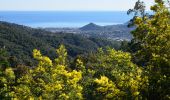 Tour Wandern Tanneron - Tanneron par Les Farinas - Photo 10