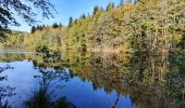 Tour Wandern Écromagny - Les 1000 étangs à Ecromagny - Photo 7