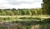 Tour Zu Fuß Unbekannt - Habichtswaldsteig - Extratour Habichtswald - Photo 3