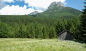 Trail On foot Altaussee - Wiesenweg Altaussee - Blaa Alm - Photo 8