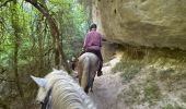 Trail Horseback riding Buoux - Provence 2025 J2 - Photo 20