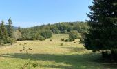 Randonnée Marche Saint-Agnan-en-Vercors - Col de soulier - Photo 3