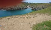 Randonnée Marche Locmaria - belle île de la pointe de Pouldon à la plage de Herlin - Photo 6