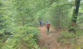 Randonnée Marche Saulcy-sur-Meurthe - Massif du KEMBERG - Photo 18