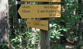 Trail Walking Boussan - Aurignac S. Botanique  - Photo 7