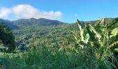 Trail Walking Le Lorrain - Boucle Vallon - Moreau - Carabin - Chemin Etoile - Photo 11