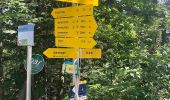 Tocht Te voet Stadt Kufstein - Brentenjoch-Trail - Photo 9