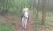 Trail Horseback riding Ciney - 20190531 - Photo 1
