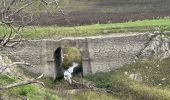 Tour Wandern Darnius - Lac Boadella vers centrale. - Photo 4