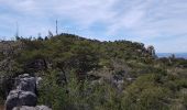 Randonnée Marche La Roquebrussanne - la montagne de la Loube - Photo 4