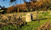 Trail Walking Le Revest-les-Eaux - Boucle Ripelle - Mont Combes - Tourris - Ripelle - Photo 3