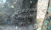 Randonnée A pied The Municipal District of Castlecomer - Walled Garden Loop - Photo 8