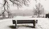 Trail Walking Lierneux - Promenade sur les hauteurs enneigées de Lierneux  - Photo 4