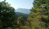 Trail Walking Mirabel-et-Blacons - Col de Pourcheton - Photo 6