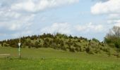 Tour Zu Fuß Großalmerode - Rundweg Heiligenberg - Dudenrode - Photo 7