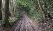 Trail Walking Saint-Pierre-de-Cormeilles - St Pierre de Cormeille - Photo 5