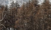 Randonnée Raquettes à neige Puy-Saint-Vincent - la tête d'Oréac - Photo 4