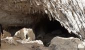 Excursión Senderismo Pont-en-Royans - Grotte Balme Rousse - Photo 10