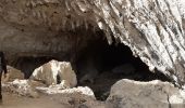 Randonnée Marche Pont-en-Royans - Grotte Balme Rousse - Photo 10