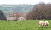 Tocht Stappen Val-de-Virieu - Les 2 Châteaux - Photo 8