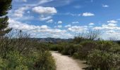 Trail Walking Les Baux-de-Provence - Huilerie, Vin, les baux de Provence, avec Château - Photo 5