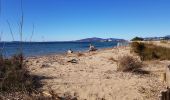 Excursión Senderismo Hyères - AR Les Salins - La Londe - Photo 1