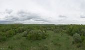 Excursión A pie Hörselberg-Hainich - Wildkatzenpfad - Photo 4