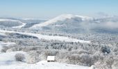 Tour Schneeschuhwandern Saint-Agnan-en-Vercors - Beure - Écondus - Photo 2