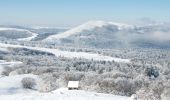 Excursión Raquetas de nieve Saint-Agnan-en-Vercors - Beure - Écondus - Photo 2