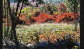 Tocht Te voet Gradisca d'Isonzo - (SI A22) Gradisca d'Isonzo - Centro visite Gradina - Photo 3