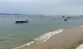 Tour Wandern Arcachon - Cap Ferret  - Photo 5