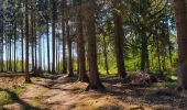 Tour Wandern Mettet - La promenade du Planois à Biesme - Photo 4