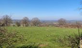 Trail Walking Durbuy - Heyd avec le chemin des crêtes  - Photo 10