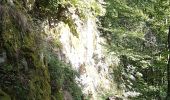 Trail Walking Metzeral - Hohneck par la Worsa - Photo 12