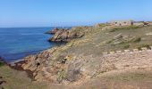 Randonnée Marche Île-d'Houat - île d'ouat - Photo 11