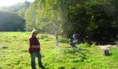 Excursión A pie Libin - WandArdNat 34 :Lesse een groen wandelsprookje tussen Lesse en Our - Photo 6