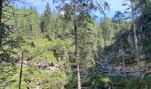 Tour Wandern Hayden - DOLOMITES 02 - Refugio Pederü - Photo 14